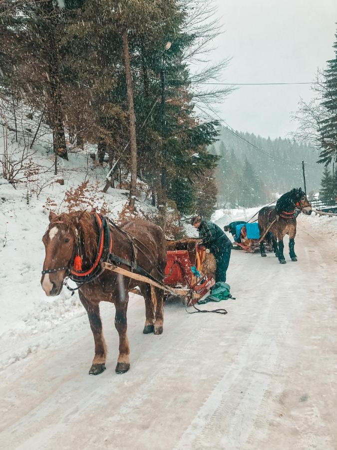 Apartamenty Przy Strumyku Szczawnica Eksteriør bilde